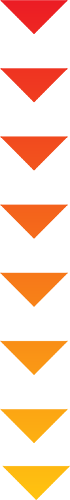 New-Skin-Arrow